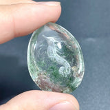 4 Pieces Unique Seahorse Garden Quartz Inner Scene Carving - Wholesale Crystals