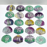 Rainbow Fluorite Shell Wholesale (No.61-80)
