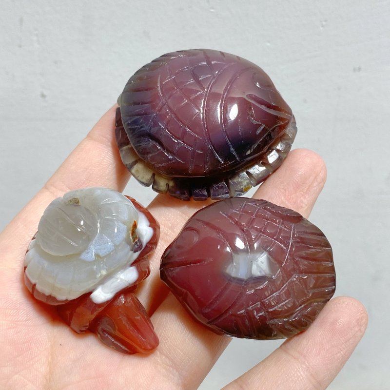 49 Pieces Africa Red Agate Sea Animals Carving -Wholesale Crystals