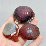 49 Pieces Africa Red Agate Sea Animals Carving -Wholesale Crystals