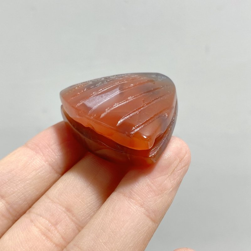 49 Pieces Africa Red Agate Sea Animals Carving -Wholesale Crystals