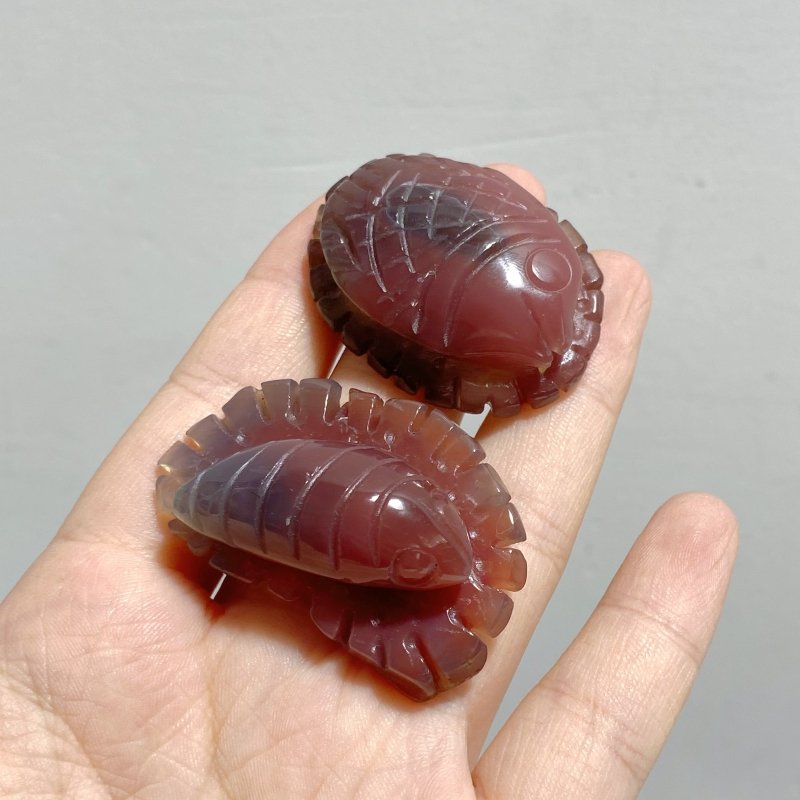 49 Pieces Africa Red Agate Sea Animals Carving -Wholesale Crystals
