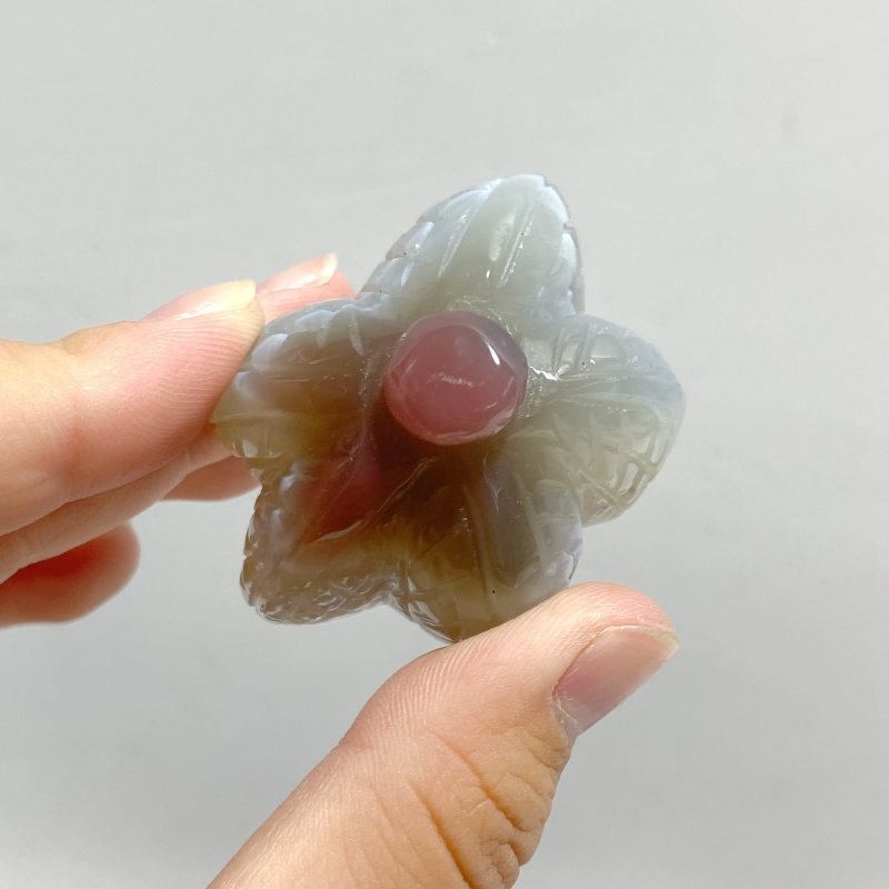 49 Pieces Africa Red Agate Sea Animals Carving -Wholesale Crystals