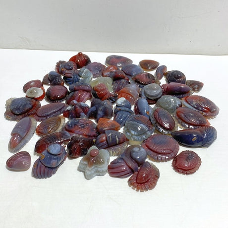 49 Pieces Africa Red Agate Sea Animals Carving -Wholesale Crystals