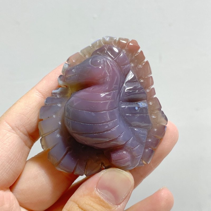 49 Pieces Africa Red Agate Sea Animals Carving -Wholesale Crystals