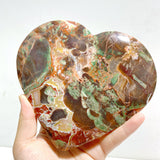 5 Pieces Large Money Agate Heart With Stand