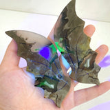 5 Pairs Flying Dragon Wing With Stand Chevron Amethyst Pink Agate - Wholesale Crystals