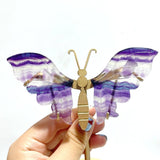 5 Pairs Symmetry Butterfly Wing With Stand Fluorite - Wholesale Crystals