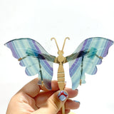 5 Pairs Symmetry Butterfly Wing With Stand Fluorite - Wholesale Crystals