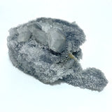 5 Pieces Black Clear Quartz Cluster Raw Side Tower - Wholesale Crystals