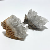 5 Pieces Cute Quartz Cluster Animals Carving - Wholesale Crystals