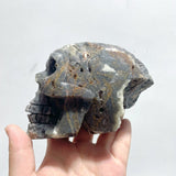 5 Pieces Druzy Geode Purple Fluorite Skull Carving - Wholesale Crystals