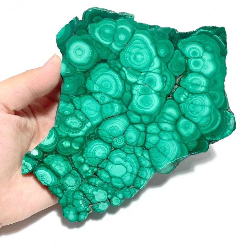 5 Pieces High Quality Malachite Specimen With Stand - Wholesale Crystals