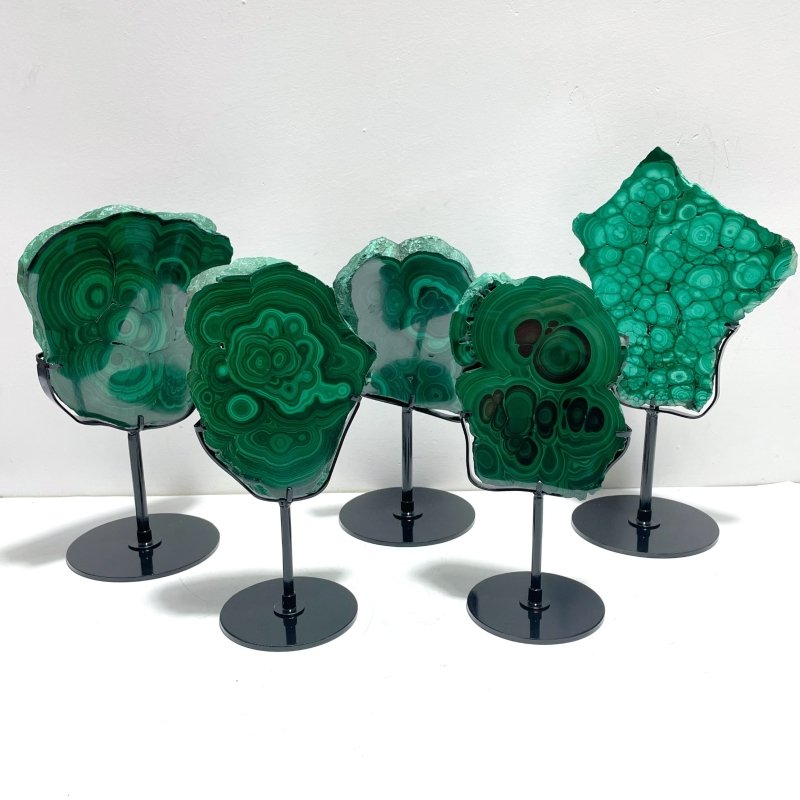 5 Pieces High Quality Malachite Specimen With Stand For Collection - Wholesale Crystals