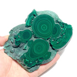 5 Pieces High Quality Malachite Specimen With Stand For Collection - Wholesale Crystals