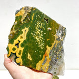 5 Pieces Large 8th Vein Ocean Jasper Slabs - Wholesale Crystals