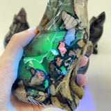 5 Pieces Large Volcanic Agate Wolf Carving(UV - Reactive) - Wholesale Crystals