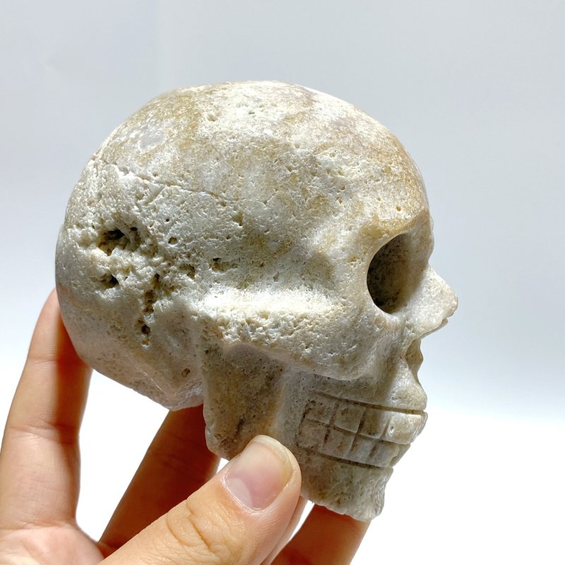 5 Pieces Sakura Agate Skull Carving Clearance - Wholesale Crystals