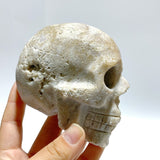 5 Pieces Sakura Agate Skull Carving Clearance - Wholesale Crystals