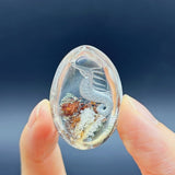 5 Pieces Seahorse Garden Quartz Inner Scene Carving - Wholesale Crystals