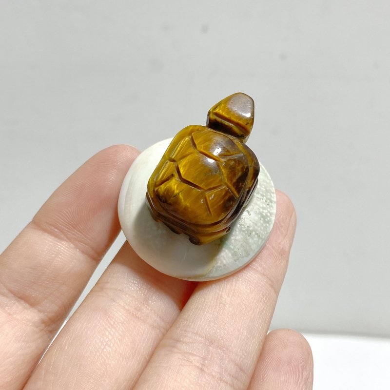 5 Types Mini Turtle On The Shell Fossil Wholesale Moss Agate Tiger Eye - Wholesale Crystals
