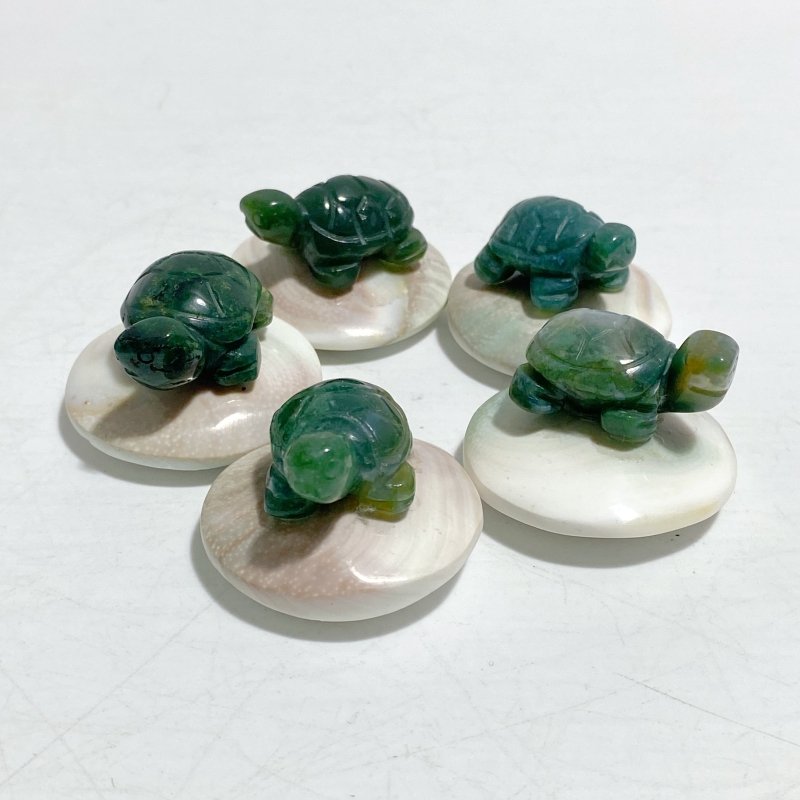5 Types Mini Turtle On The Shell Fossil Wholesale Moss Agate Tiger Eye - Wholesale Crystals