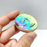 Aura Shell Fossil Wholesale