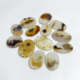 13 Pieces Natural Rare Scenic Dendritic Agate Stone