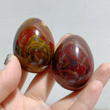 Petrified Wood Stone Egg Wholesale