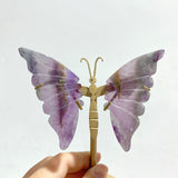 6 Pairs Small Fluorite Butterfly Wing Carving With Stand - Wholesale Crystals