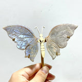 6 Pairs Sunstone Mixed Moonstone Butterfly Wing Carving With Stand - Wholesale Crystals