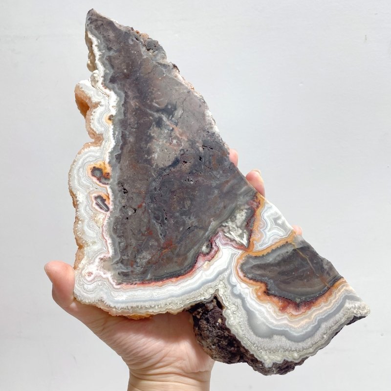 6 Pieces Beautiful Morocco Agate Cloud Shape Polished Slab - Wholesale Crystals