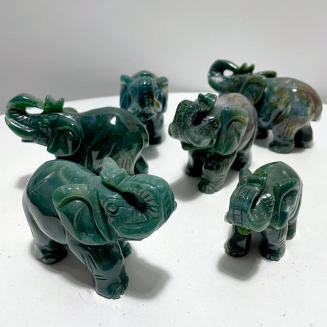 6 Pieces Beautiful Ocean Jasper Elephant Carving - Wholesale Crystals