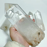 6 Pieces Clear Quartz Large Points Raw Bottom - Wholesale Crystals