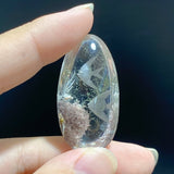 6 Pieces Fish Garden Quartz Inner Scene Carving -Wholesale Crystals