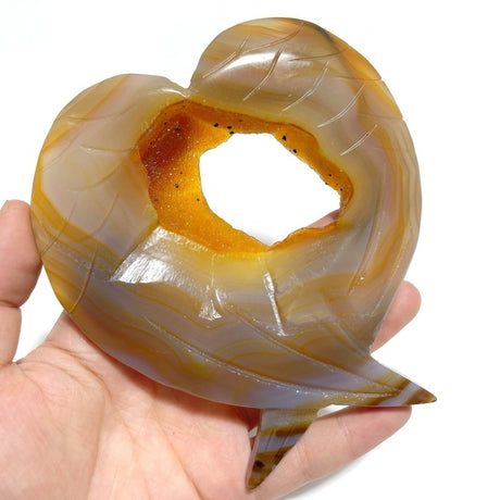 6 Pieces Geode Druzy Agate Fish Carving With Stand - Wholesale Crystals