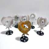 6 Pieces Geode Druzy Agate Fish Carving With Stand - Wholesale Crystals