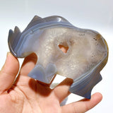 6 Pieces Geode Druzy Agate Rhino Carving - Wholesale Crystals