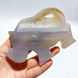 6 Pieces Geode Druzy Agate Rhino Carving - Wholesale Crystals