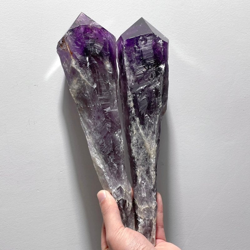 6 Pieces Large Beautiful Polished Amethyst Scepter Single Point 25.5 - 32.2cm - Wholesale Crystals