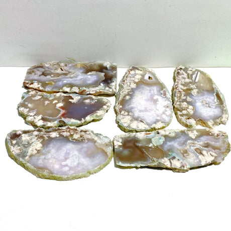6 Pieces Large Green Sakura Flower Agate Slabs - Wholesale Crystals