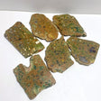 6 Pieces Peacock Eye Rain Forest Jasper Slab - Wholesale Crystals