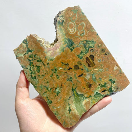 6 Pieces Peacock Eye Rain Forest Jasper Slab - Wholesale Crystals