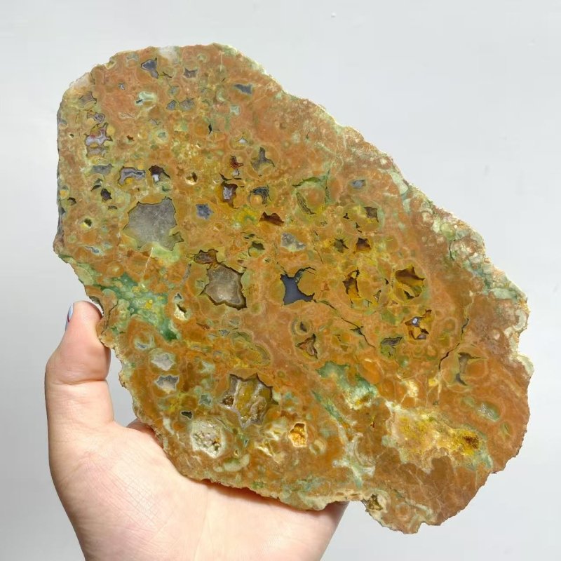 6 Pieces Peacock Eye Rain Forest Jasper Slab - Wholesale Crystals