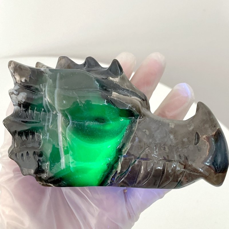 6 Pieces Volcanic Agate Dragon Head Carving(UV - Reactive) - Wholesale Crystals