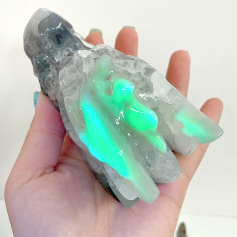 6 Pieces Volcanic Agate Dragon Head Carving(UV - Reactive) - Wholesale Crystals
