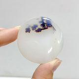 11 Pieces Natural Rare Scenic Dendritic Agate Stone