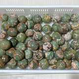 61 Pieces Rainforest Jasper Spheres (Sea Freight Only) -Wholesale Crystals