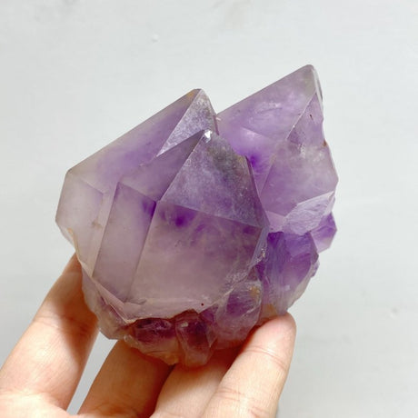 7 Pieces Beautiful Large Raw Amethyst Specimen - Wholesale Crystals