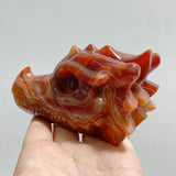 7 Pieces Carnelian Dragon Head Carving -Wholesale Crystals